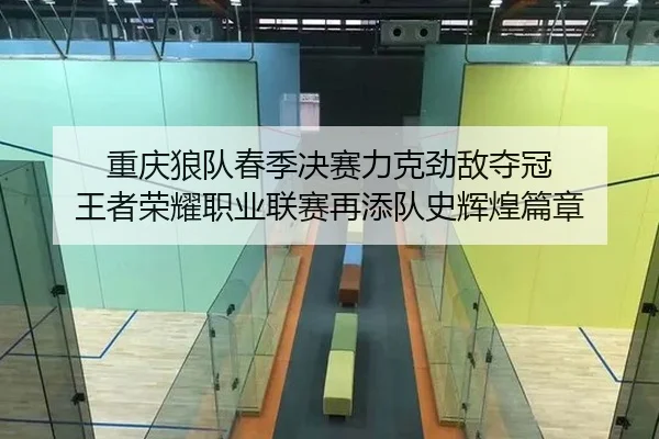 重庆狼队春季决赛力克劲敌夺冠 王者荣耀职业联赛再添队史辉煌篇章